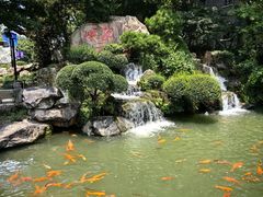 -江心屿景区