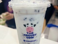 -一只酸奶牛(八一路店)