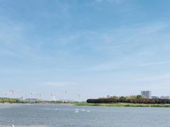 -北龙湖湿地公园
