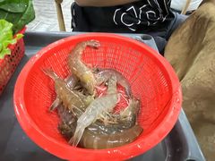 -濠轩阁特色生蚝火锅(水湾路店)
