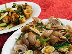 -蛇口康乐快餐鱼仔档(翠苑小区店)