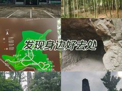 -上海佘山国家森林公园天马山园