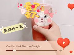 双球冰淇淋莓莓-CoCo都可(常德路店)