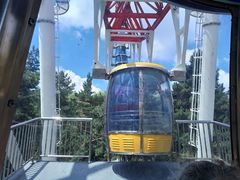 -哈尔滨文化公园