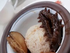 -食神鱼头佛跳墙(百子湾旗舰店)