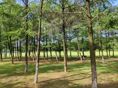 -宜兴龙背山森林公园