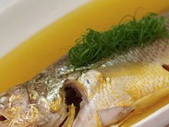 鸡油蒸黄鱼-玫瑰厅上海菜(兴国路店)