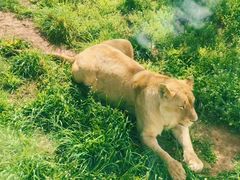 -西安秦岭野生动物园