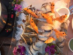 -渔家火锅·海鲜自助餐·演艺(亚龙湾天域酒店)