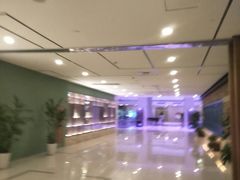 -证大喜玛拉雅中心