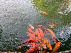 -乌记大厨餐厅