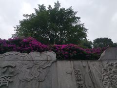 -龙头寺公园