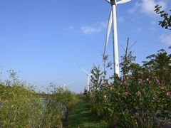 -上海长兴岛郊野公园