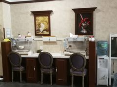 -宠爱国际动物医院· 猫科· 外科·中兽医(长白店)