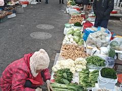 -东河市场