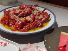 -杨氏青龙虾·羊蝎子(托乐嘉店)