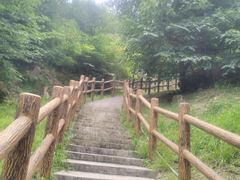 -白水寺森林公园