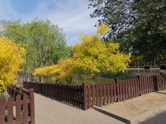 -西青郊野公园