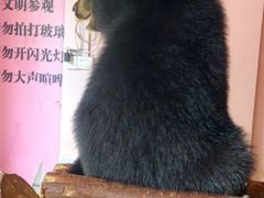 -柳州市动物园