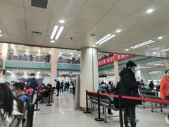 -北京大学肿瘤医院