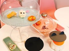 -三花喵·撸猫购宠·宠物生活馆(虹桥南丰城店)