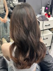 -藤野造型