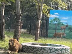 -秦皇岛野生动物园