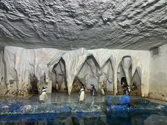 -太平洋海底世界