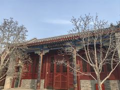 -天津大悲禅院