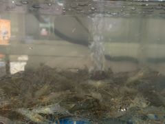 -高淳老街土菜馆(迎薰门店)