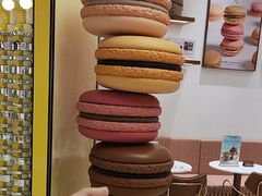 -Pierre Marcolini(德基广场店)