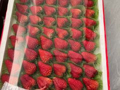 -岳各庄批发市场(西四环中路店)