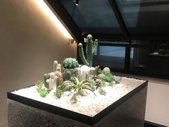 -大树餐厅(红旗街万达店)