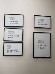 -菩叶脱发白发中心
