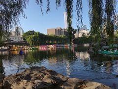 -团结湖公园