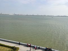 -大湾区中央湿地公园
