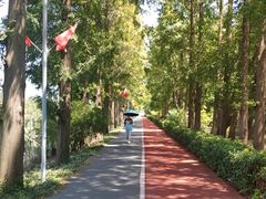 -上海长兴岛郊野公园