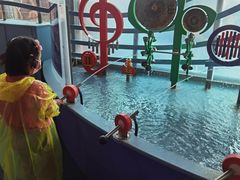 -中国宋庆龄青少年科技文化交流中心