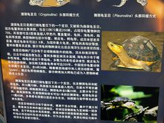 -上海大自然野生昆虫馆(东方明珠·爬宠昆虫探索中心)