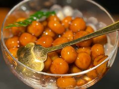 -菌自由丨野生菌火锅特色庭院餐厅(丽江古城店)