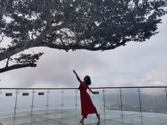 -三亚亚龙湾人间天堂鸟巢度假村
