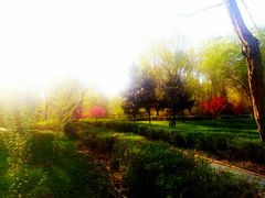 -水磨沟公园