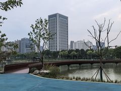 -后襄河公园