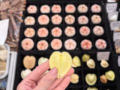 -济南恒隆广场