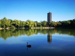 -北京大学赛克勒考古与艺术博物馆