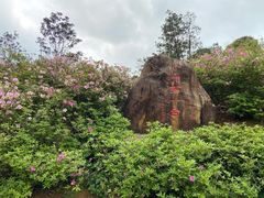 -广州市石门国家森林公园
