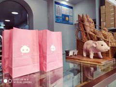 -WHEN PIGS FLY当猪飞