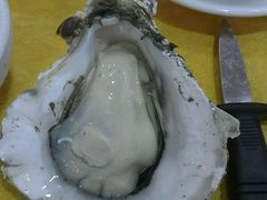 -蚝专家(北滘店)