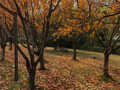 -苏州河梦清园环保主题公园