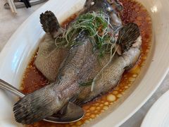 -南海渔村(珠江新城店)